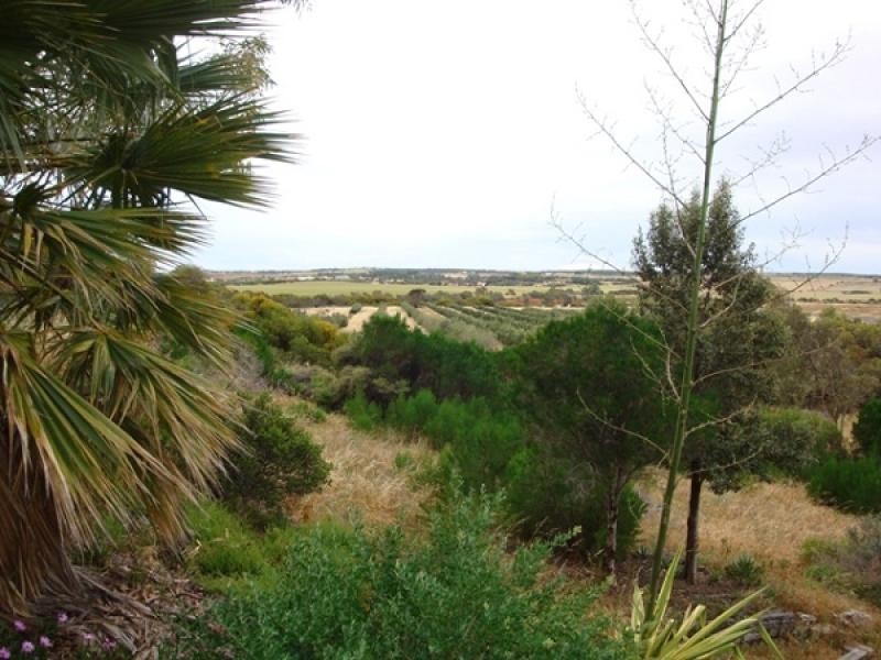 1443 Company Road, Greenough WA 6532