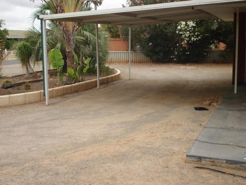 5 Houston Street, Spalding WA 6530