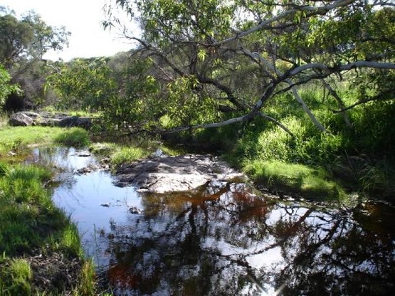 39 Carson Street, Isseka WA 6535