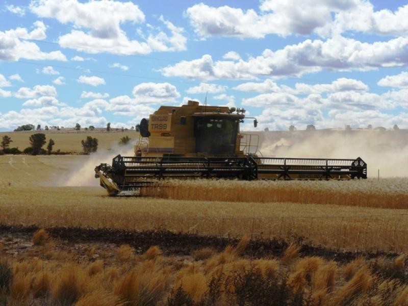 2300 Wandana Road, Yuna WA 6532