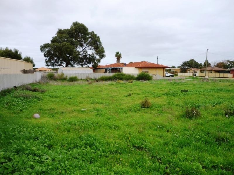 31 Devenish Street, Utakarra WA 6530