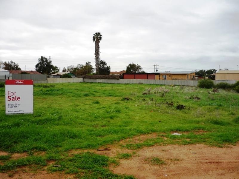 31 Devenish Street, Utakarra WA 6530