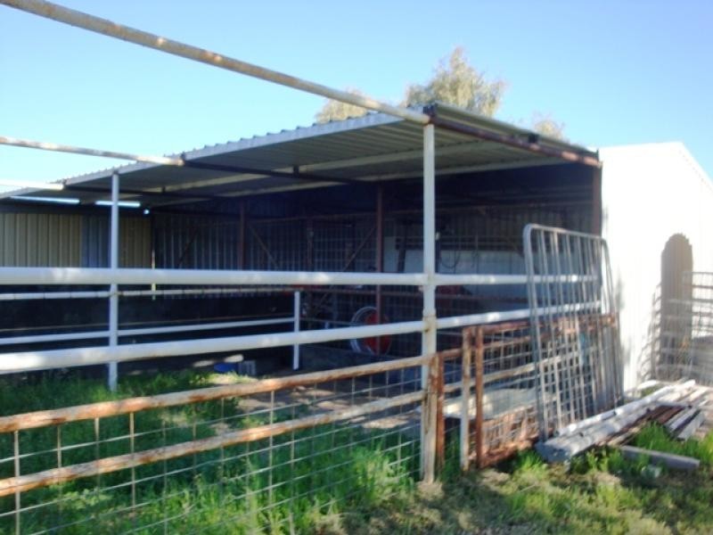 337 Allanooka Springs Road, Walkaway WA 6528