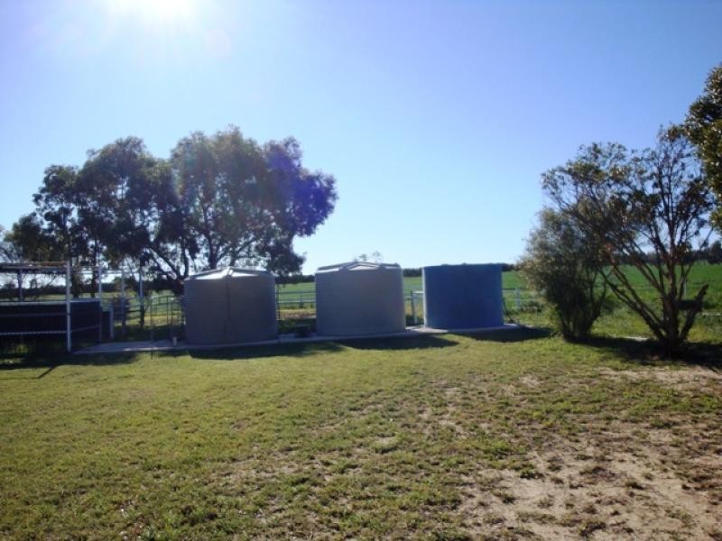 337 Allanooka Springs Road, Walkaway WA 6528