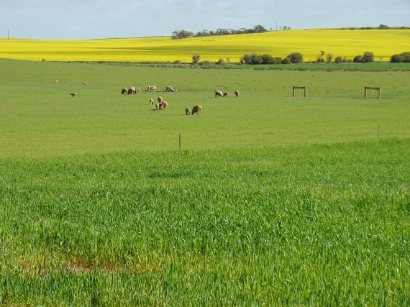 460 Station Road, Durawah WA 6532