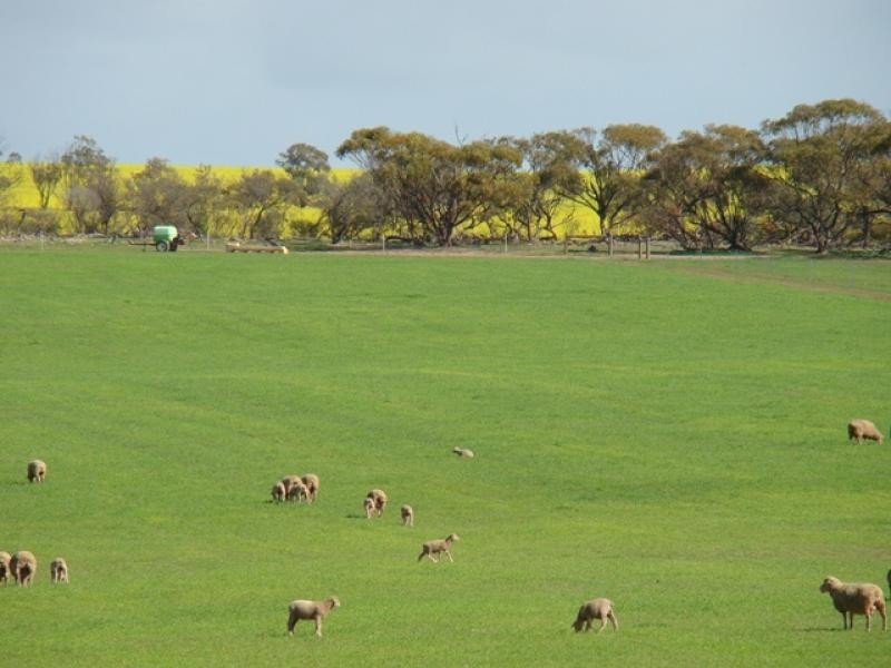 460 Station Road, Durawah WA 6532