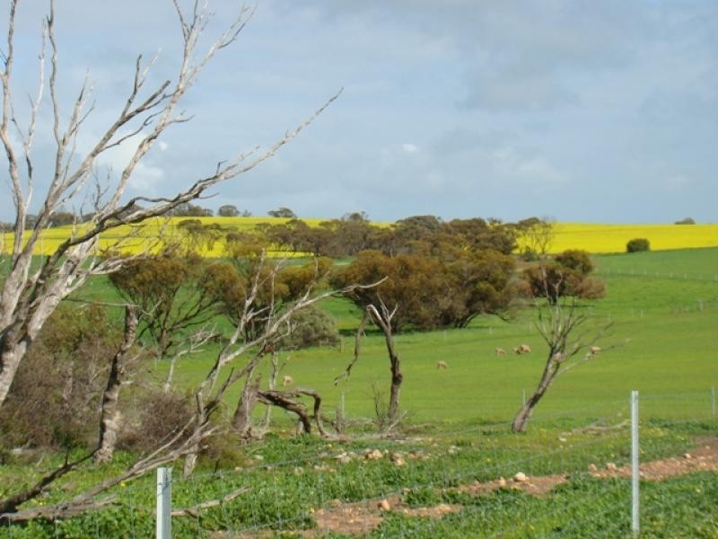 460 Station Road, Durawah WA 6532