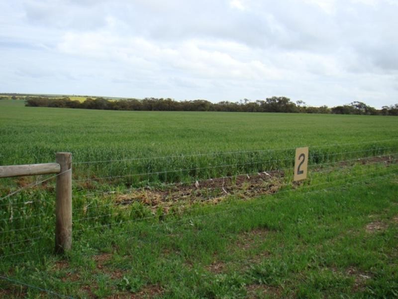 460 Station Road, Durawah WA 6532