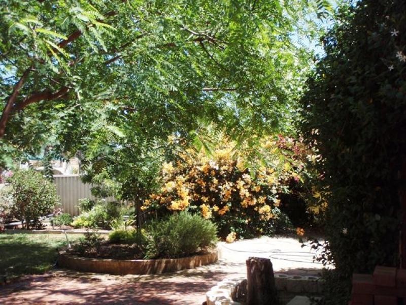 7 Alexander Drive, Glenfield WA 6532