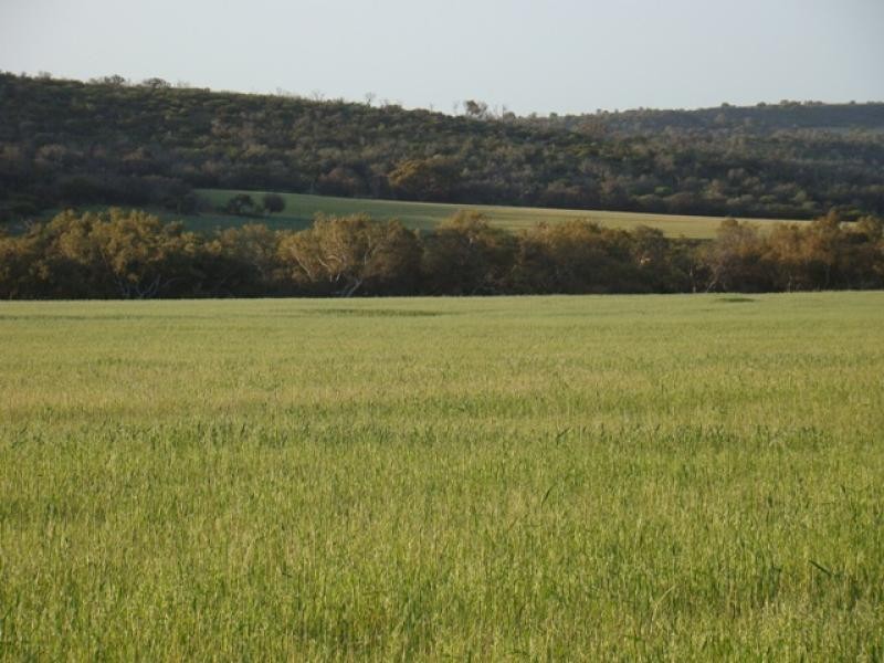 2265 Chapman Valley Road, Nanson, Geraldton WA 6530