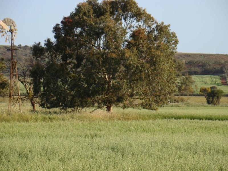 2265 Chapman Valley Road, Nanson, Geraldton WA 6530