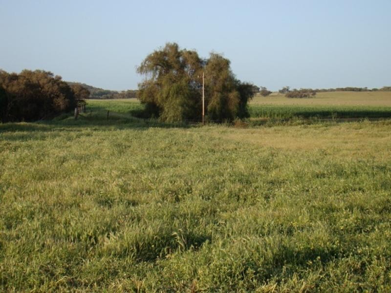 2265 Chapman Valley Road, Nanson, Geraldton WA 6530