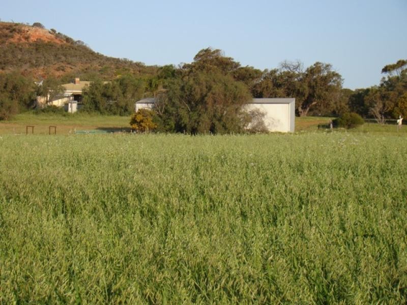 2265 Chapman Valley Road, Nanson, Geraldton WA 6530