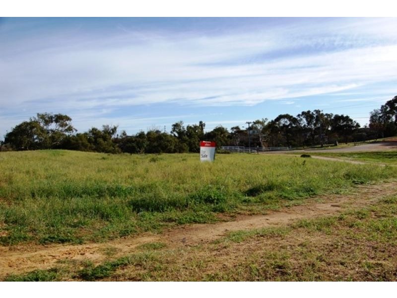 501 Chapman Road, Bluff Point WA 6530