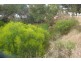 501 Chapman Road, Bluff Point WA 6530