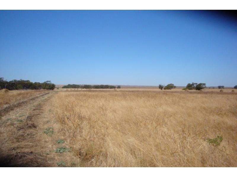 1120 near Wye Farm Road, Yardarino WA 6525