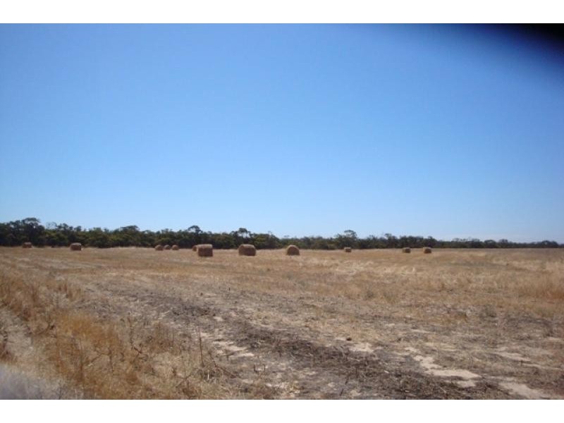 1120 near Wye Farm Road, Yardarino WA 6525