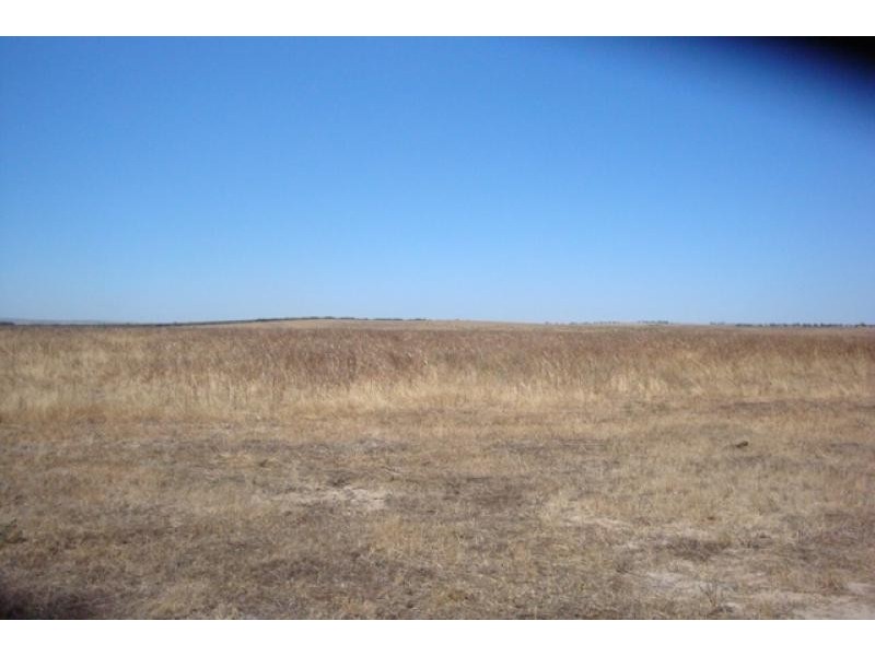 1120 near Wye Farm Road, Yardarino WA 6525