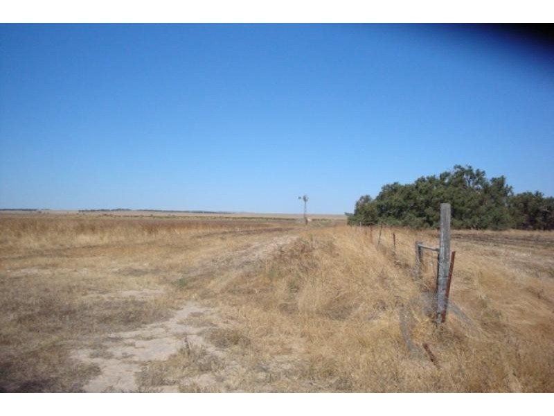 1120 near Wye Farm Road, Yardarino WA 6525