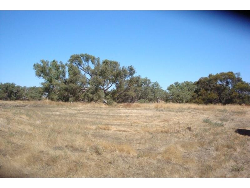 1120 near Wye Farm Road, Yardarino WA 6525
