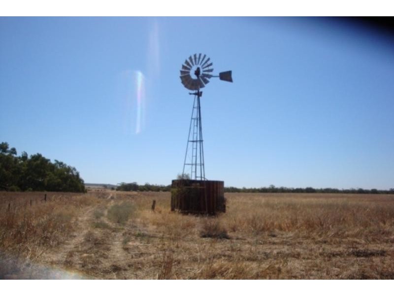 1120 near Wye Farm Road, Yardarino WA 6525