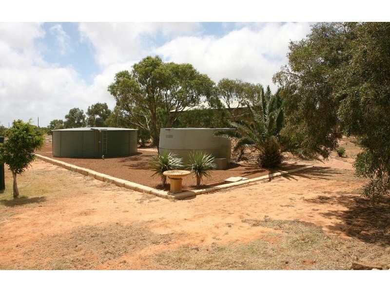 295 David Road, Waggrakine WA 6530