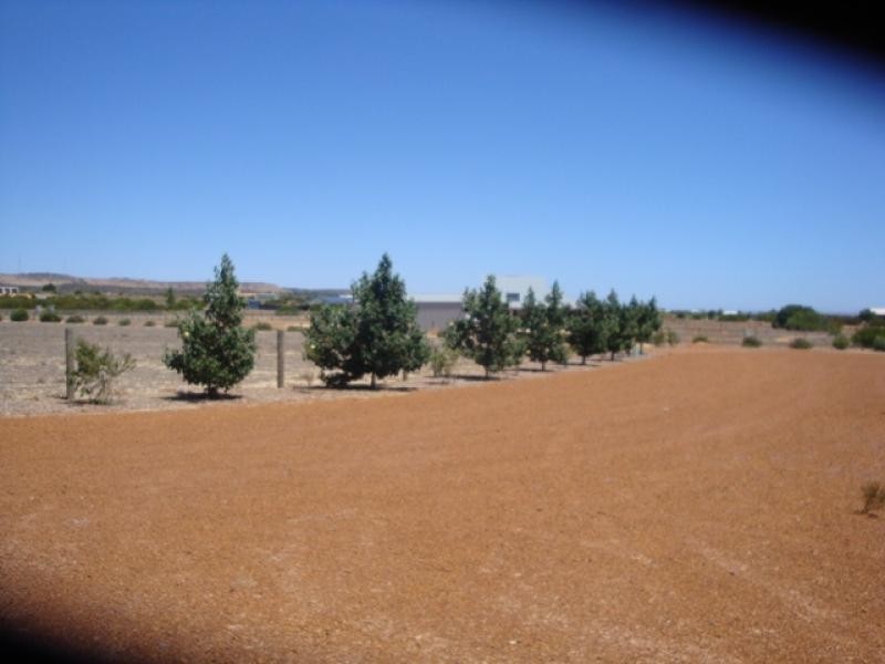 44 Wittenoom Circle, White Peak WA 6532