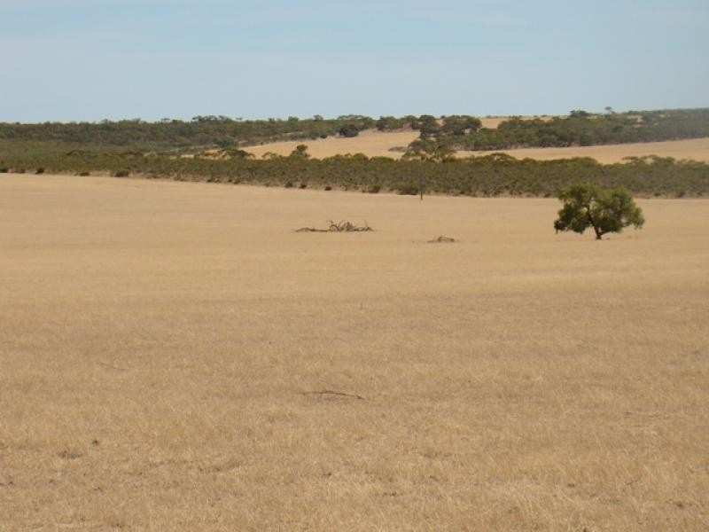 10855 Carnamah/Eneabba Road, Carnamah WA 6517