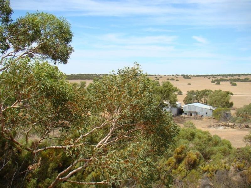 10855 Carnamah/Eneabba Road, Carnamah WA 6517