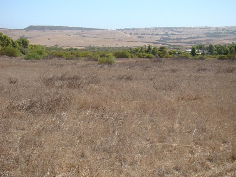 148 Bunter Way, Howatharra WA 6532