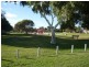 10 Bugara Street, Spalding WA 6530