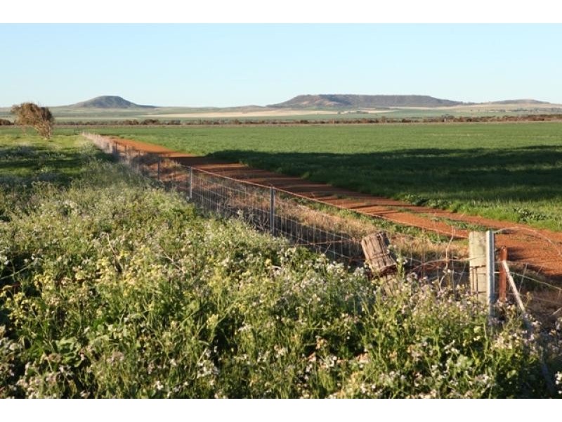 Lot 601/ Bridgid Road, Bootenal WA 6532