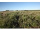 Lot 601/ Bridgid Road, Bootenal WA 6532