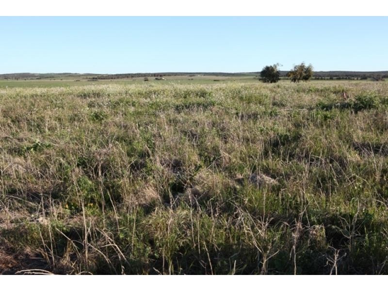 Lot 601/ Bridgid Road, Bootenal WA 6532