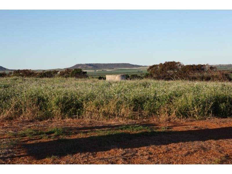 Lot 601/ Bridgid Road, Bootenal WA 6532