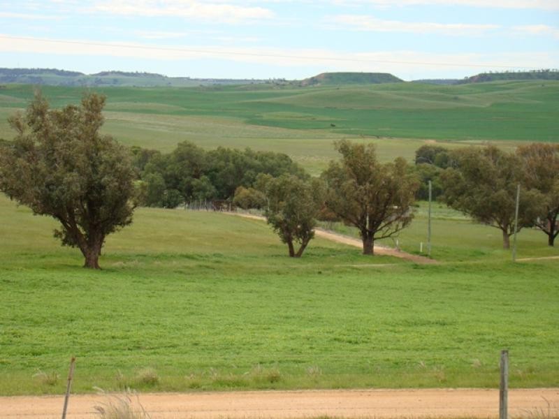 Moonyoonooka WA 6532