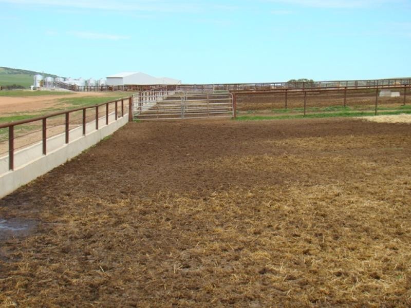 Moonyoonooka WA 6532