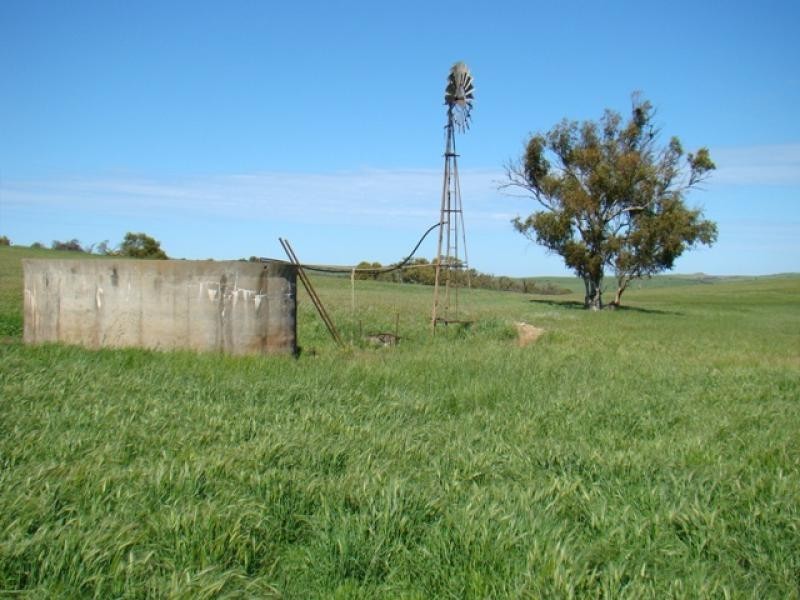 Moonyoonooka WA 6532