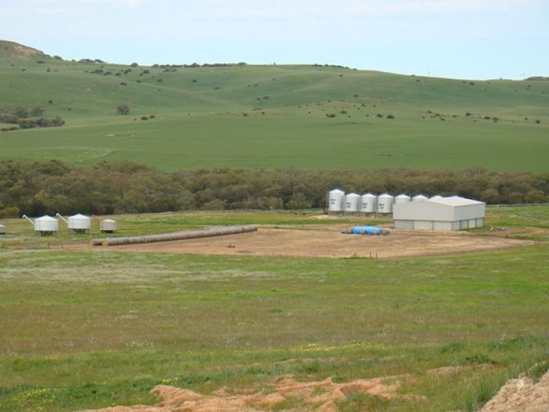 Moonyoonooka WA 6532