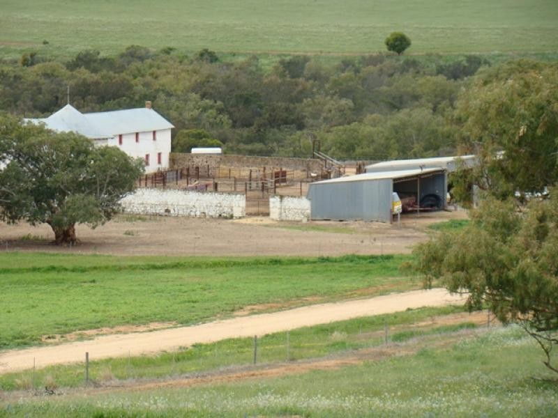 Moonyoonooka WA 6532