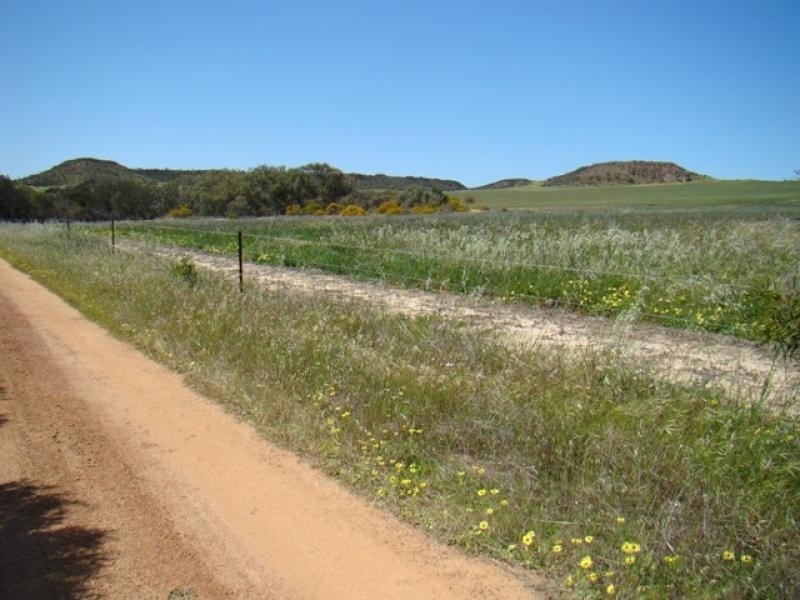 Lot 108/ Chapman Valley Road, Narra Tarra WA 6532