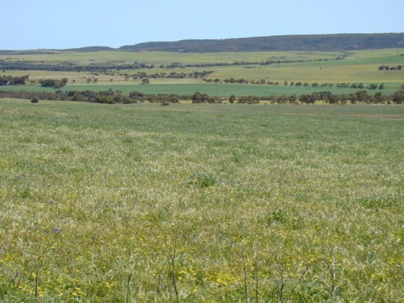 Lot 108/ Chapman Valley Road, Narra Tarra WA 6532