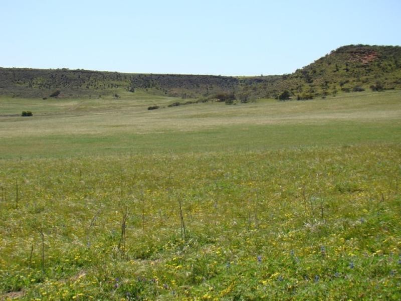 Lot 108/ Chapman Valley Road, Narra Tarra WA 6532