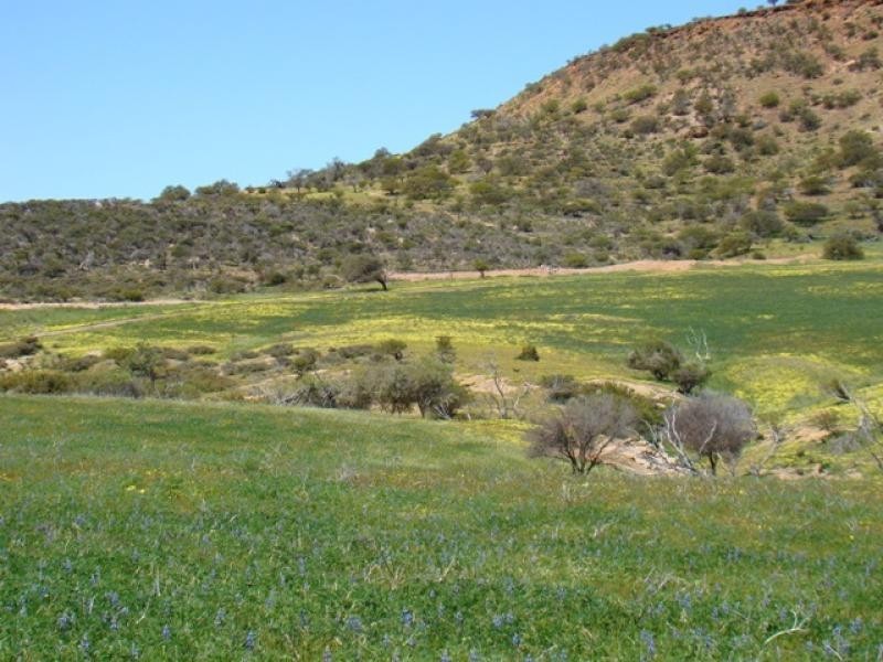 Lot 108/ Chapman Valley Road, Narra Tarra WA 6532