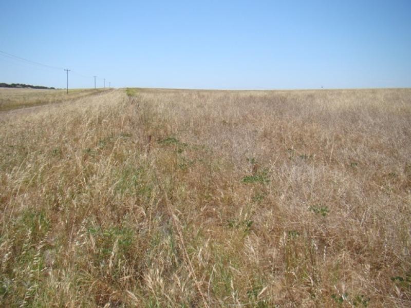 Lot 128/ Wye Farm Road, Yardarino WA 6525