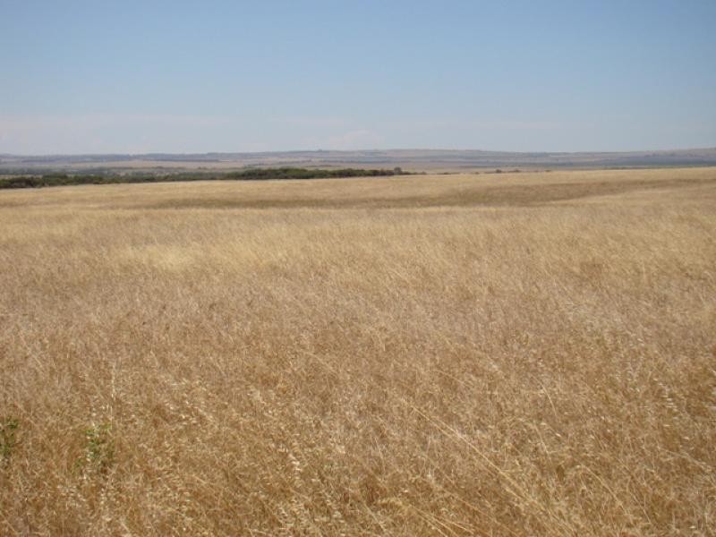 Lot 128/ Wye Farm Road, Yardarino WA 6525