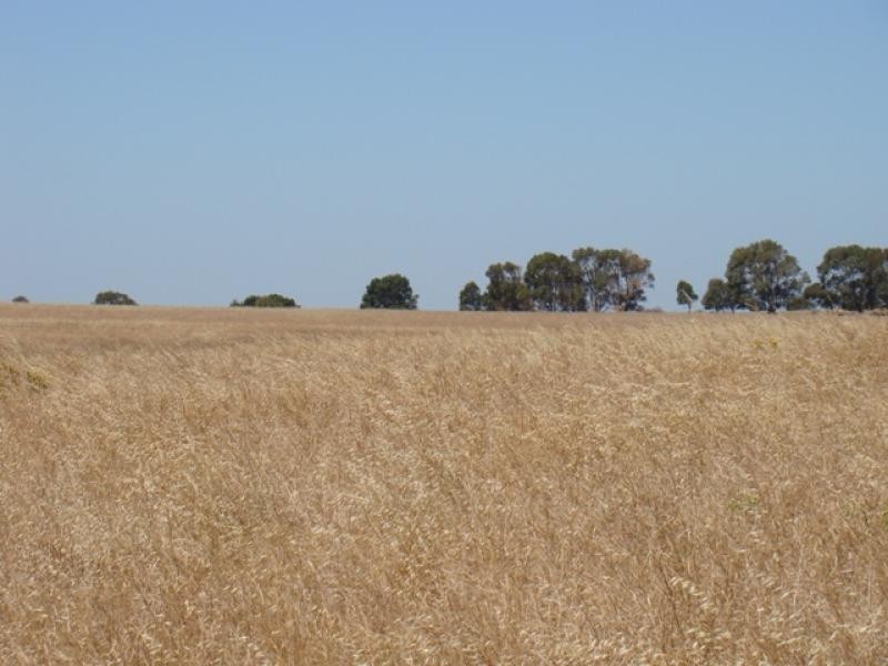 Lot 128/ Wye Farm Road, Yardarino WA 6525