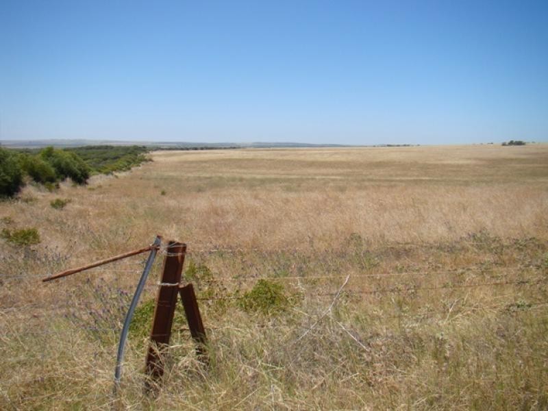 Lot 128/ Wye Farm Road, Yardarino WA 6525