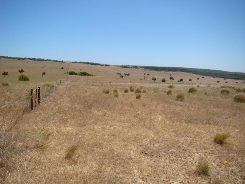Lot 128/ Wye Farm Road, Yardarino WA 6525