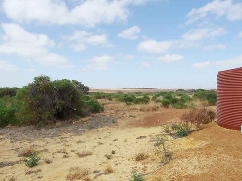 383 McCartney Road, Greenough WA 6532